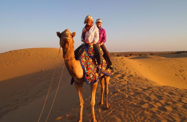 8 Days Rajasthan Heritage Tour with Taj Mahal, Forts & Palaces