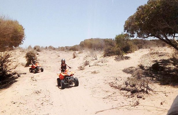 2h quad bike on the beach and in the dunes