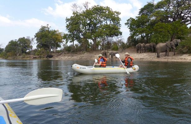 Canoeing with Wildlife Sightings