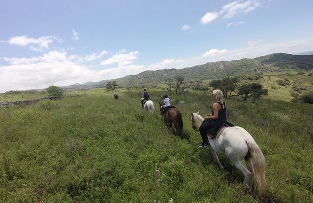 Horseback riding through the Sierras