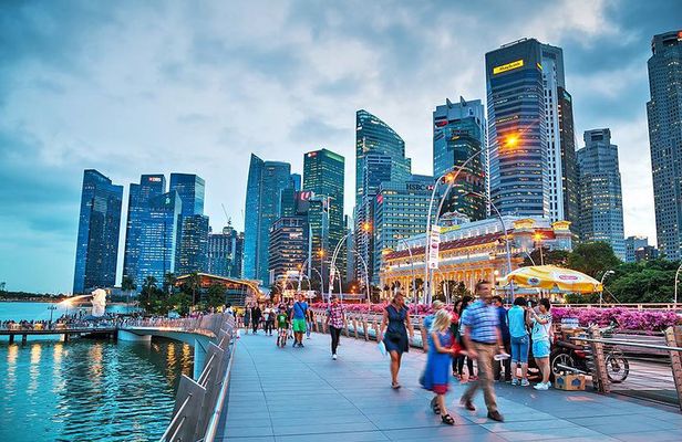 Private Full Day Singapore City Tour with Professional Tour Guide