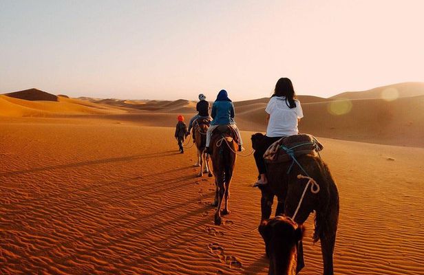 shared luxury Fez to Fez Desert Tour 2 Days/1Night