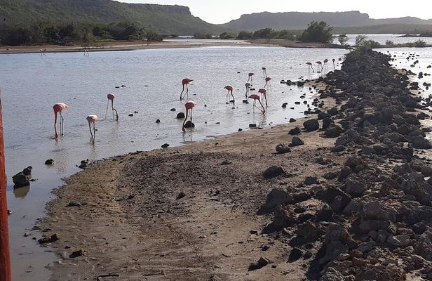 Curacao Beach and Hato Caves Tour