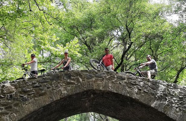 Explore Paphos forest with e-mountain bikes 