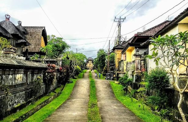 Bali Traditional Village Experience