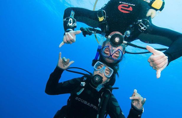 Basic Diver course for beginners with 1 dive in the Ocean