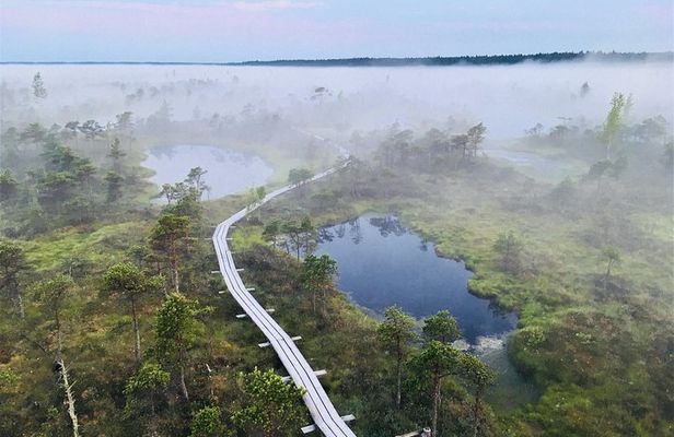 Ķemeri Bog Boardwalk, Baltic Sea & Jūrmala Day Tour from Riga