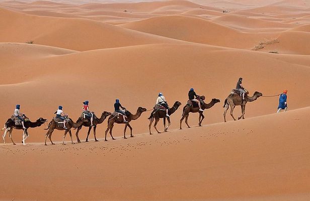 Luxury 2-Days Desert Trip from Fes to.:( fes or marakech)
