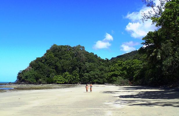 Cape Tribulation Day Tour from Cairns