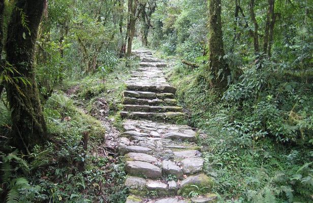 2 Days Panchase Hill Trekking