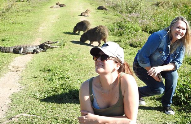 Iberá Wetlands Safari