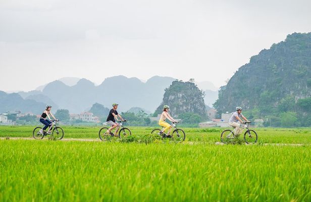 Ninh Binh Highlights Hoa Lu/Bai Dinh-Trang An/ Tam Coc- Mua Cave