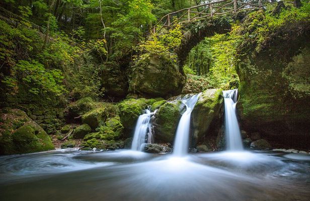 Luxembourg: Nature & Castle Day Trip
