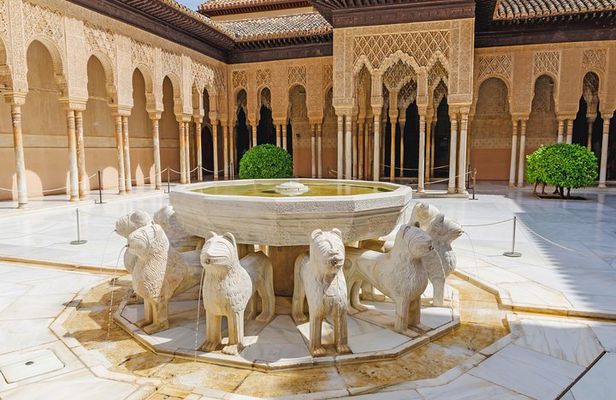Alhambra Ticket and Guided Tour with Nasrid Palaces