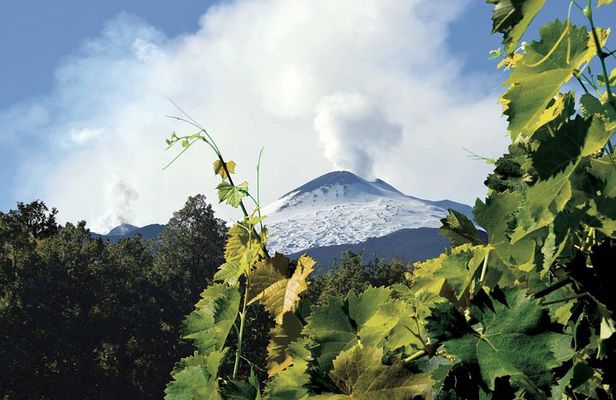 Etna and Wines Tour