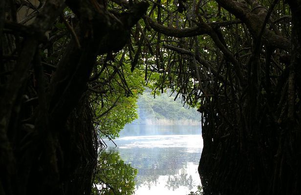 Private Day Tour: Negombo City Tour from Colombo
