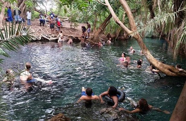 Kikuletwa (Chemka) Hot Springs Day Tour
