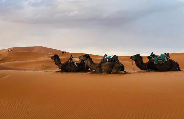 Desert Trip from Fes to Fes via Merzougua (2days,1night)