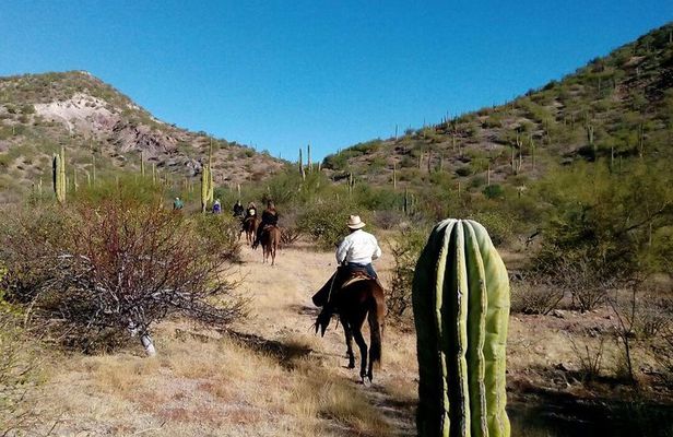 Baja Desert Horseback Riding Tour