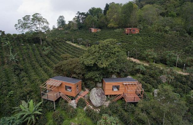 Coffee Experience at La Palma & El Tucan