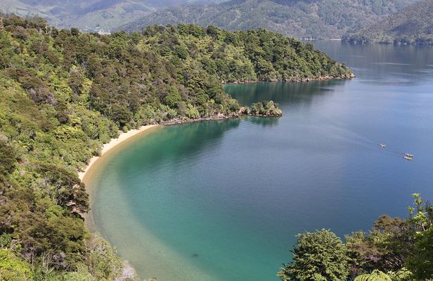 Half day Sea Kayak Guided Tour from Picton