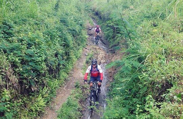 The Volcano Trail