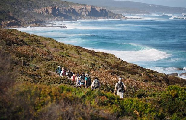 8-Day Cape to Cape Track Guided Walking Tour from Perth
