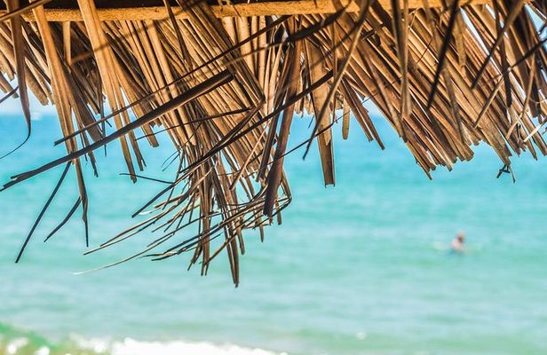 Private Custom Tour of Martinique