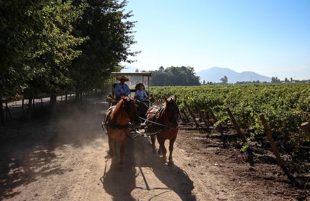 Viu Manent and Montes Winery, Colchagua Valley from semi-private