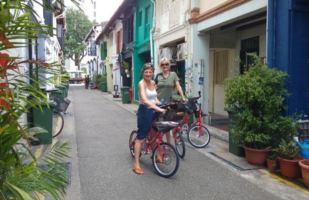 Singapore Full-Day Bike & Food Tour ( Private Tour )