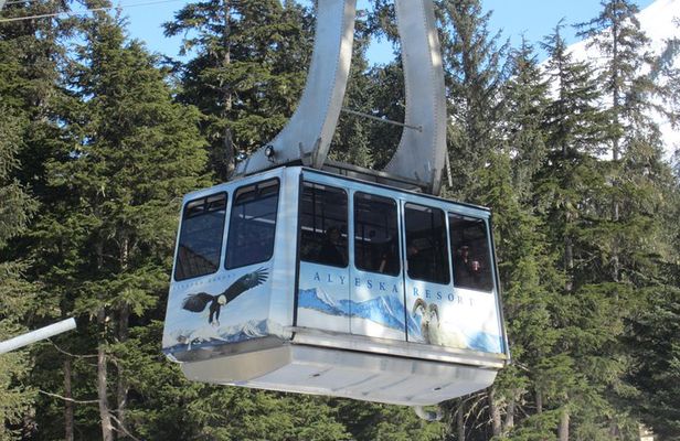 Winter - Alaska Wildlife Center with Alyeska Tram