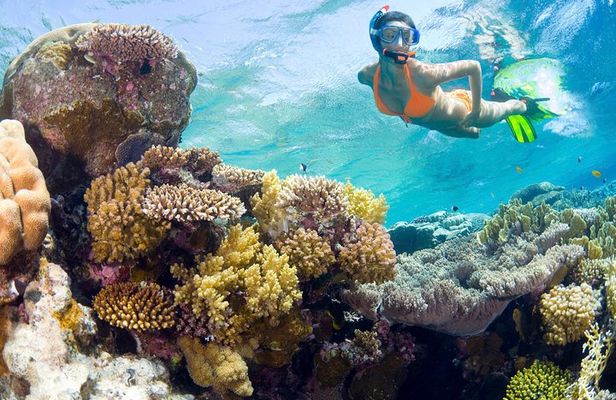 Catalina Island Snorkel Excursion from Punta Cana