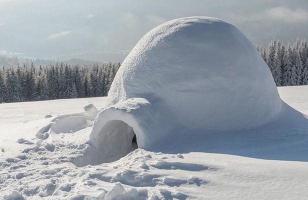 Northern Lights Trip with an Overnight Stay in a Snow Igloo