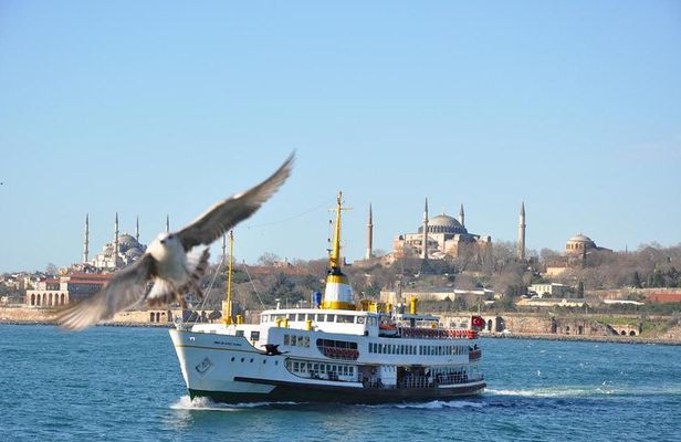 A Great day in Istanbul-Private tour with Museum Tickets covered
