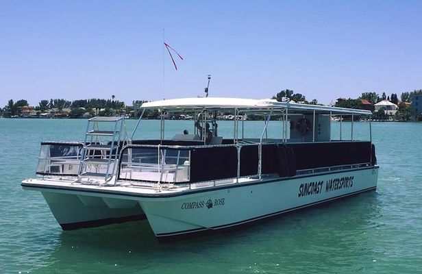 Dolphin Watch Cruise St. Pete Beach