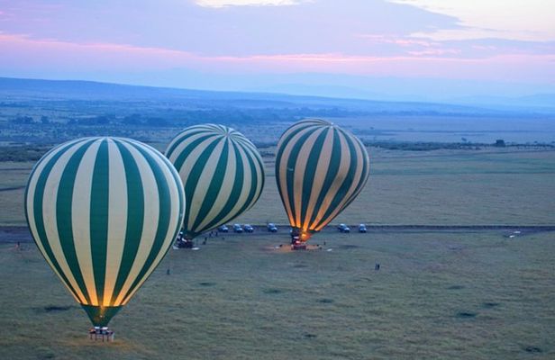 3 Days Masai Mara National Reserve Safari
