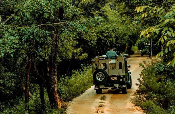Sigiriya and Minneriya Great Escape