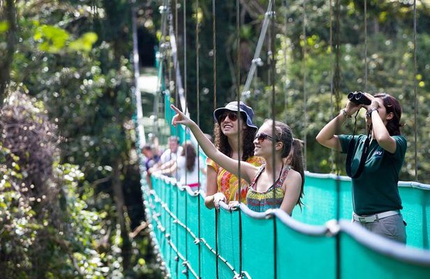 Sky Walk with Tour Guide From Arenal