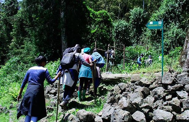 One Day Mt Bisoke Hike Adventure in Volcanoes Park ( 2 Pax Min)