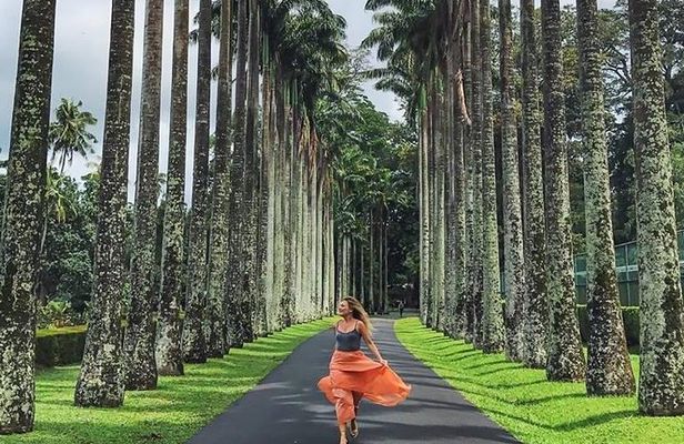 Private Kandy Day Tour from Colombo