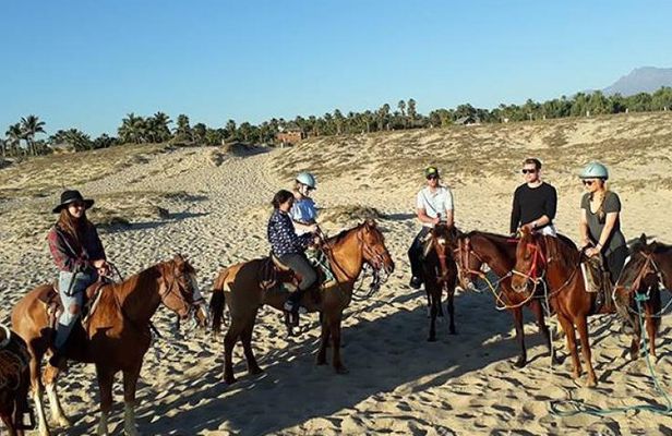 Horseback riding