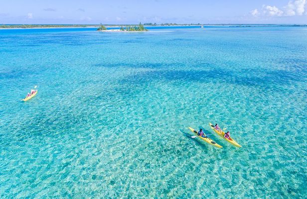 Kayak Eco Tour