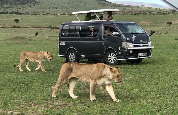 3 Days adventurous Maasai Mara Budget Group Safari