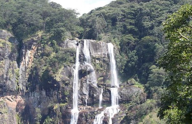 4 Days Mikumi & Udzungwa National Parks Safari