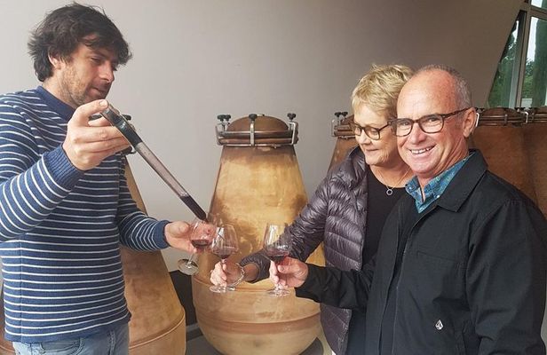 Languedoc Vineyard Tours