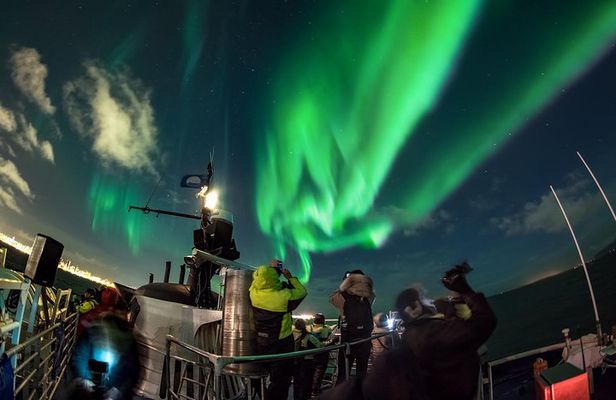 Northern Lights by Boat with a Backup Plan from Reykjavik