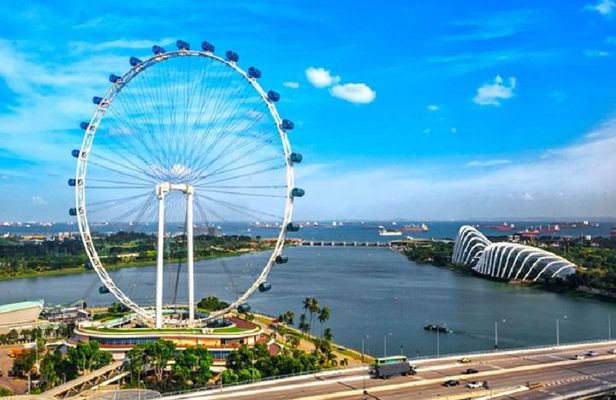 Private One Day Highlight Tour of Singapore with Singapore Flyer