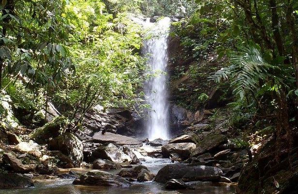 Trinidad Rainforest Hike to Waterfall