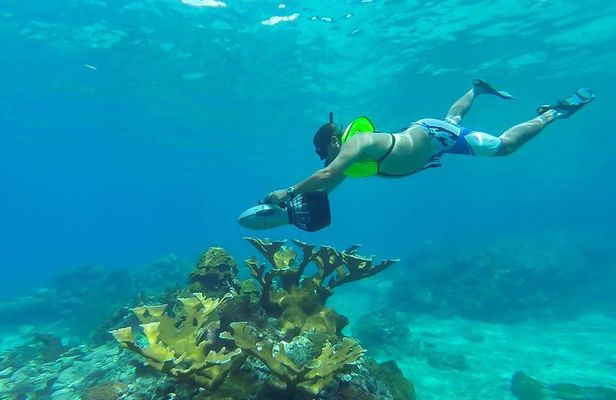 St. Lucia Speedboat and Power Snorkel From Castries