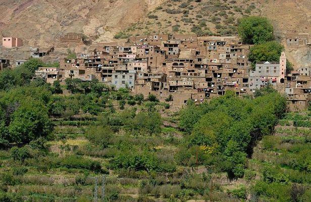 Atlas Mountain Day Trip